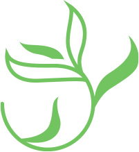 logo_mv